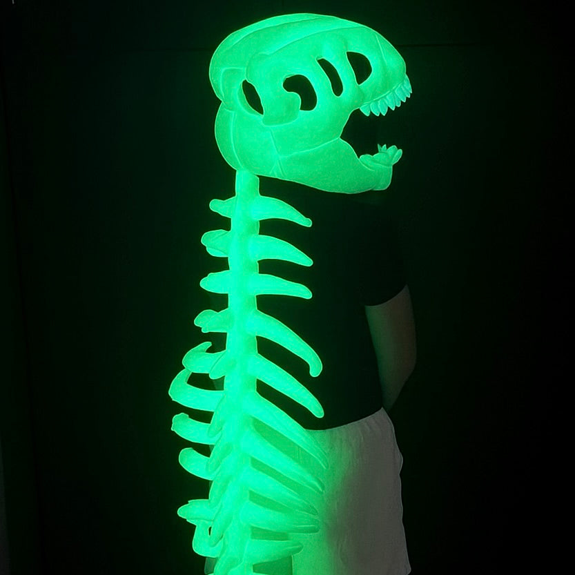 Fossil Snug